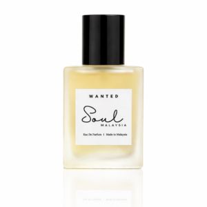 100ml perfumes