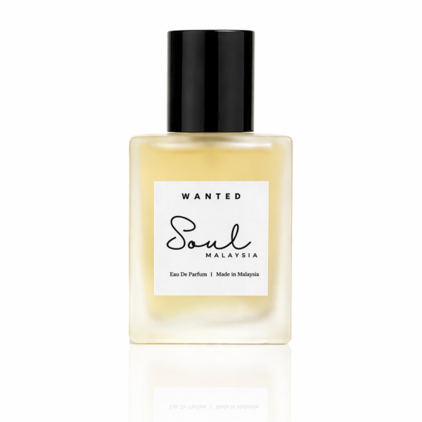 100ml perfumes